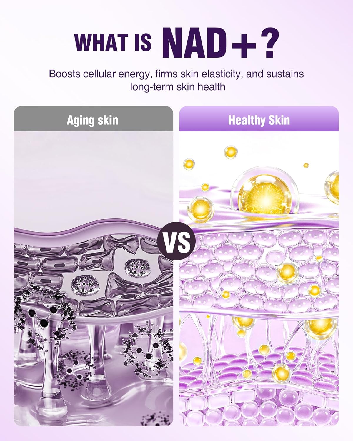 NAD+ Retinol Collagen Serum for Face: Anti-Aging Peptide Serum, Tightens Skin, Reduces Wrinkles & Fine Lines, Hydrating Serum for Radiant Glow 1.7 fl.oz