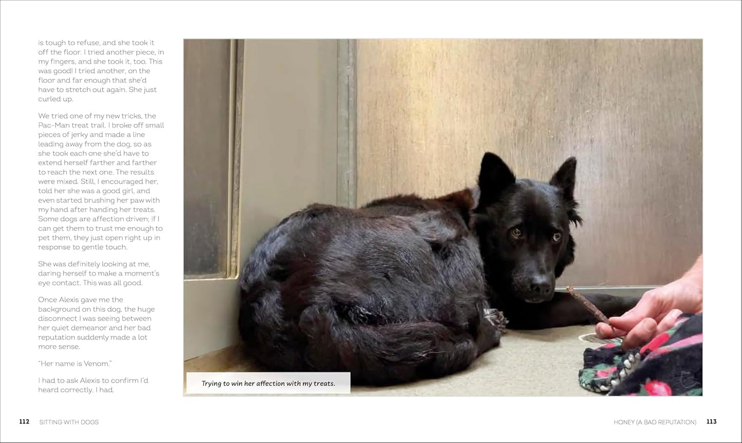 Sitting with Dogs: Stories of Rescue Dogs Going from Lost to Loved