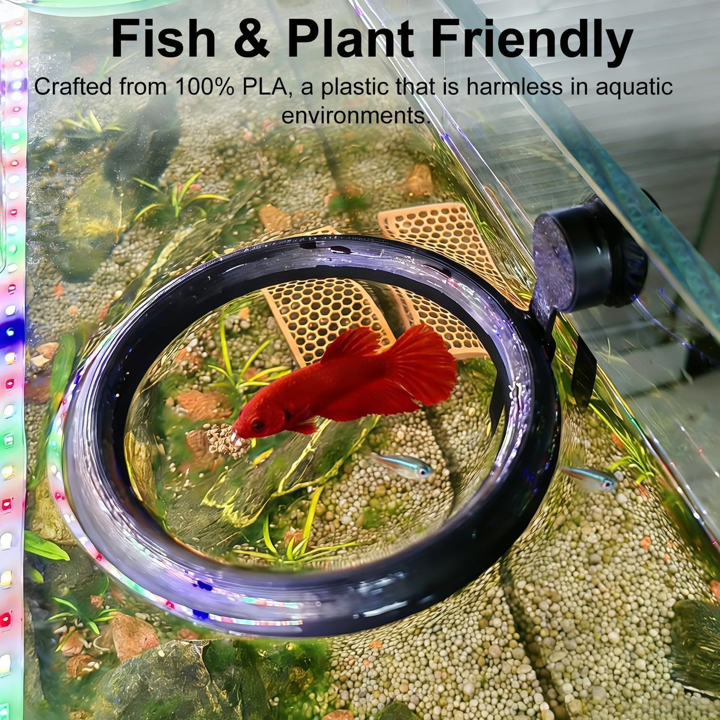 Magnetic Fish Feeding Ring, Aquarium Floating Feeder, Self-Adjusting to Water Level Fish Food Holder for Betta Goldfish Guppy Turtle