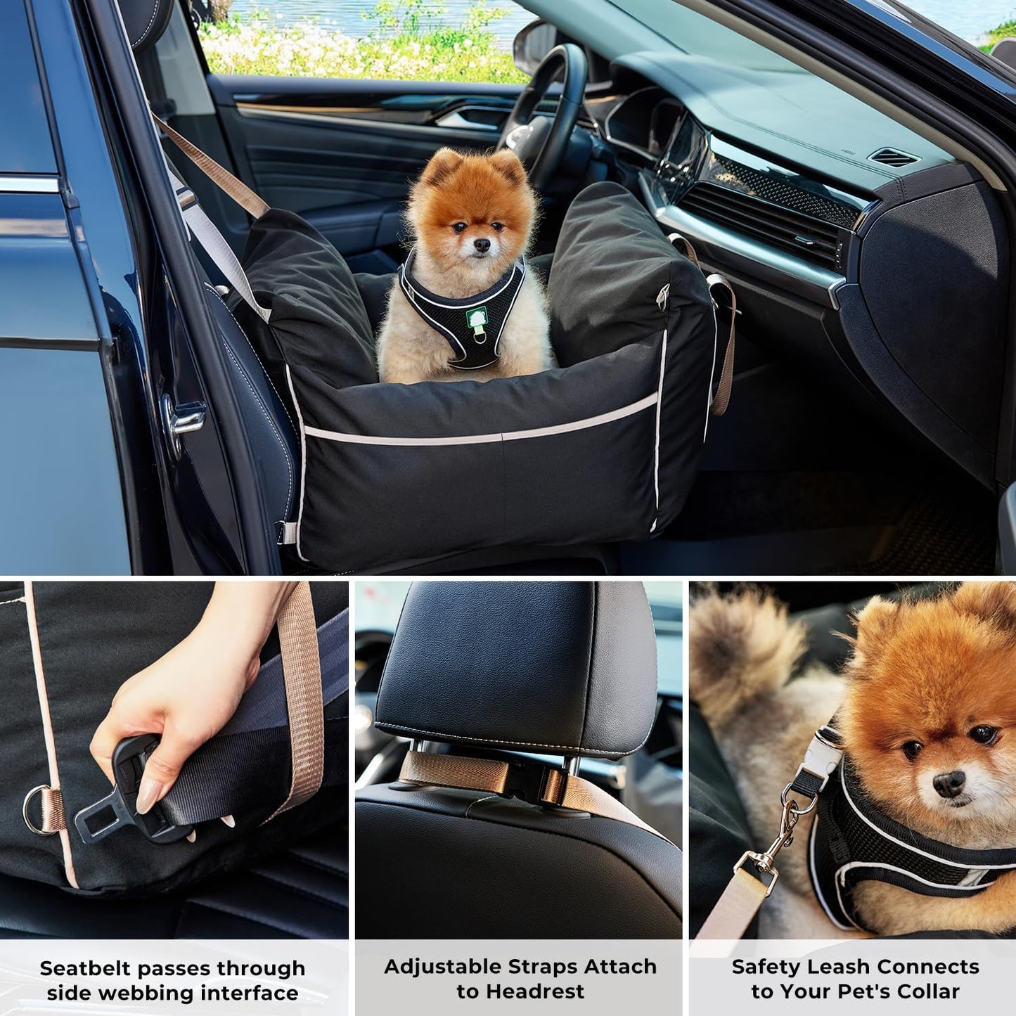 Dog Car Seat for Small Dogs - Waterproof Pet Booster Seat for Car with Clip-On Safety Leash, Travel Carrier for Medium Puppy up to 25 lbs, Memory Foam Filling and Adjustable Buckles, Black
