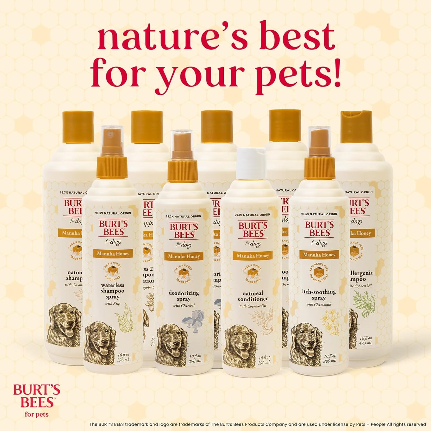 Burt’s Bees for Pets Paw & Nose Lotion for Dogs with Manuka Honey and Olive Oil, Soothes Dry Dog Paws -Naturally Derived Ingredients, 6 Oz