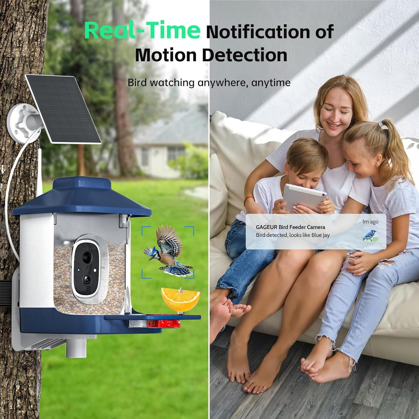 Bird Feeder with Camera, AI Bird Identification, Full HD Live Video, Solar Powered, 2.4Ghz WiFi, Instant Arrival Alerts - Best Gifts for Bi rd Lover
