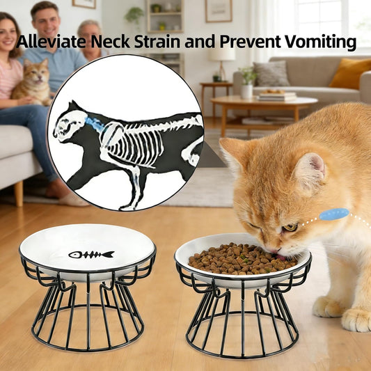 2 Pieces Elevated Cat Bowls Stand Tilted Pet Ceramic Bowls Raised Dogs Plate Non-Slip Mat for Cats and Puppy (Gold)