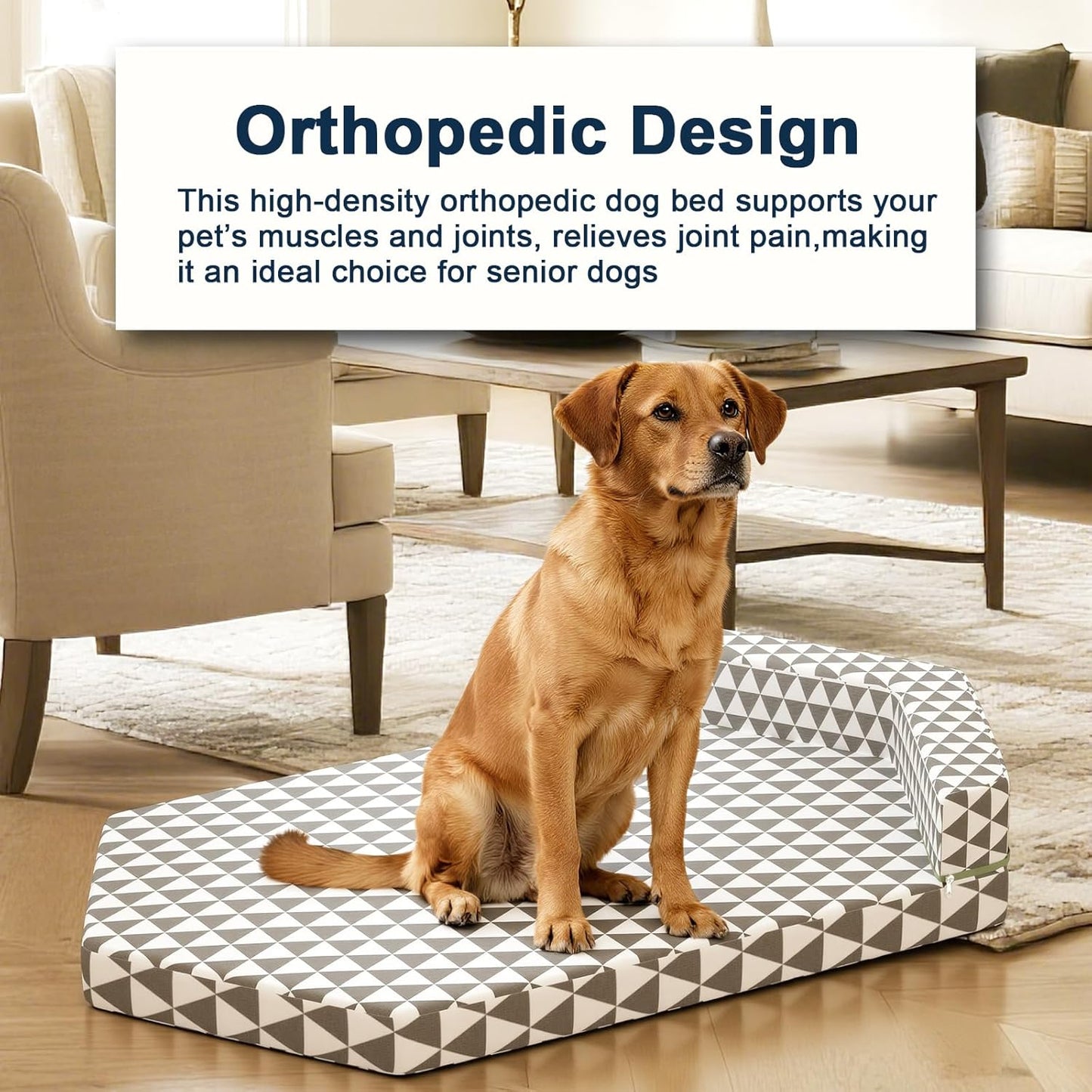 Orthopedic Dog Beds forMedium Dogs, Pet Bed with Sides,Removable Bolsters & cleanable Cover，M