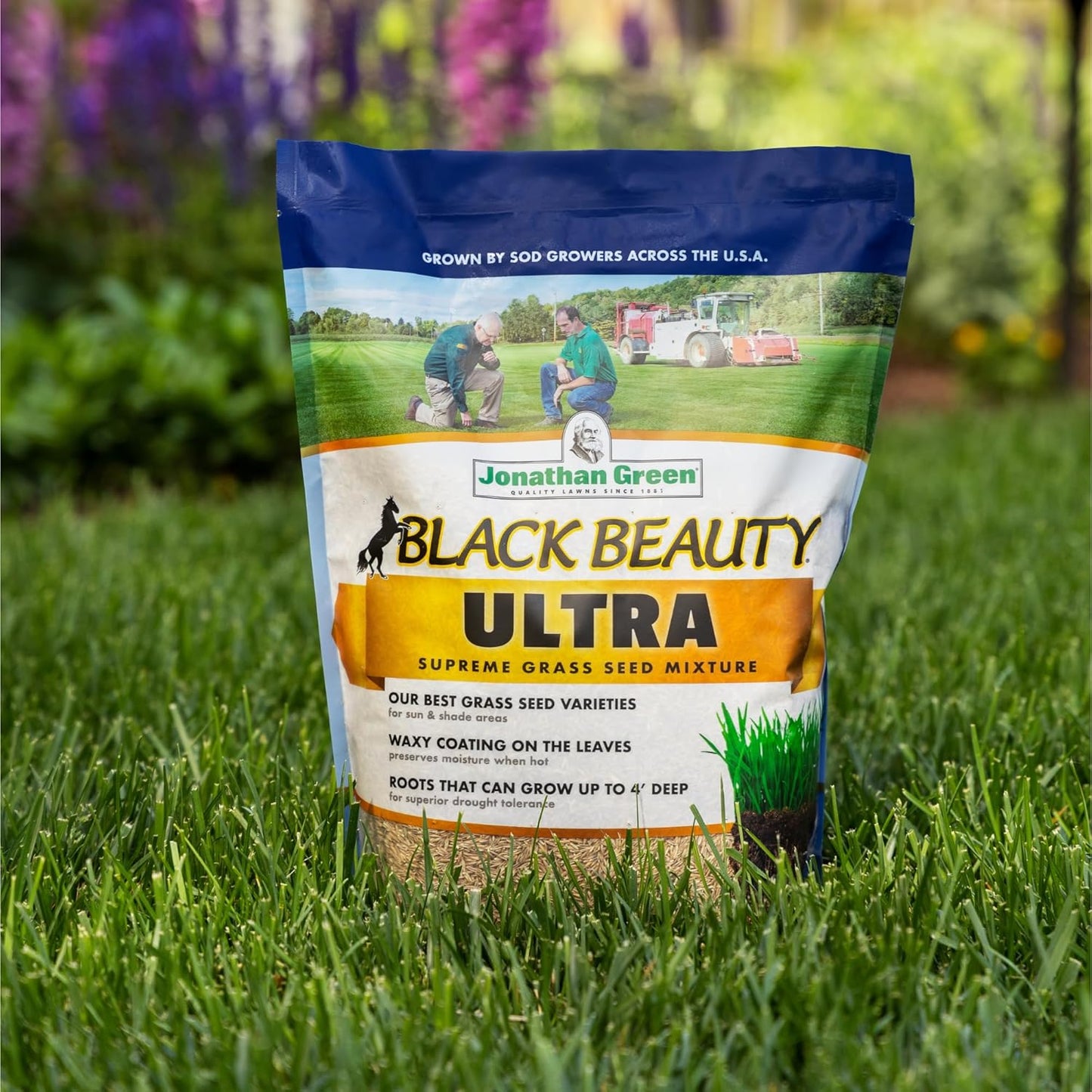 Jonathan Green (10322) Black Beauty Ultra Grass Seed - Cool Season Lawn Seed (7 lb)