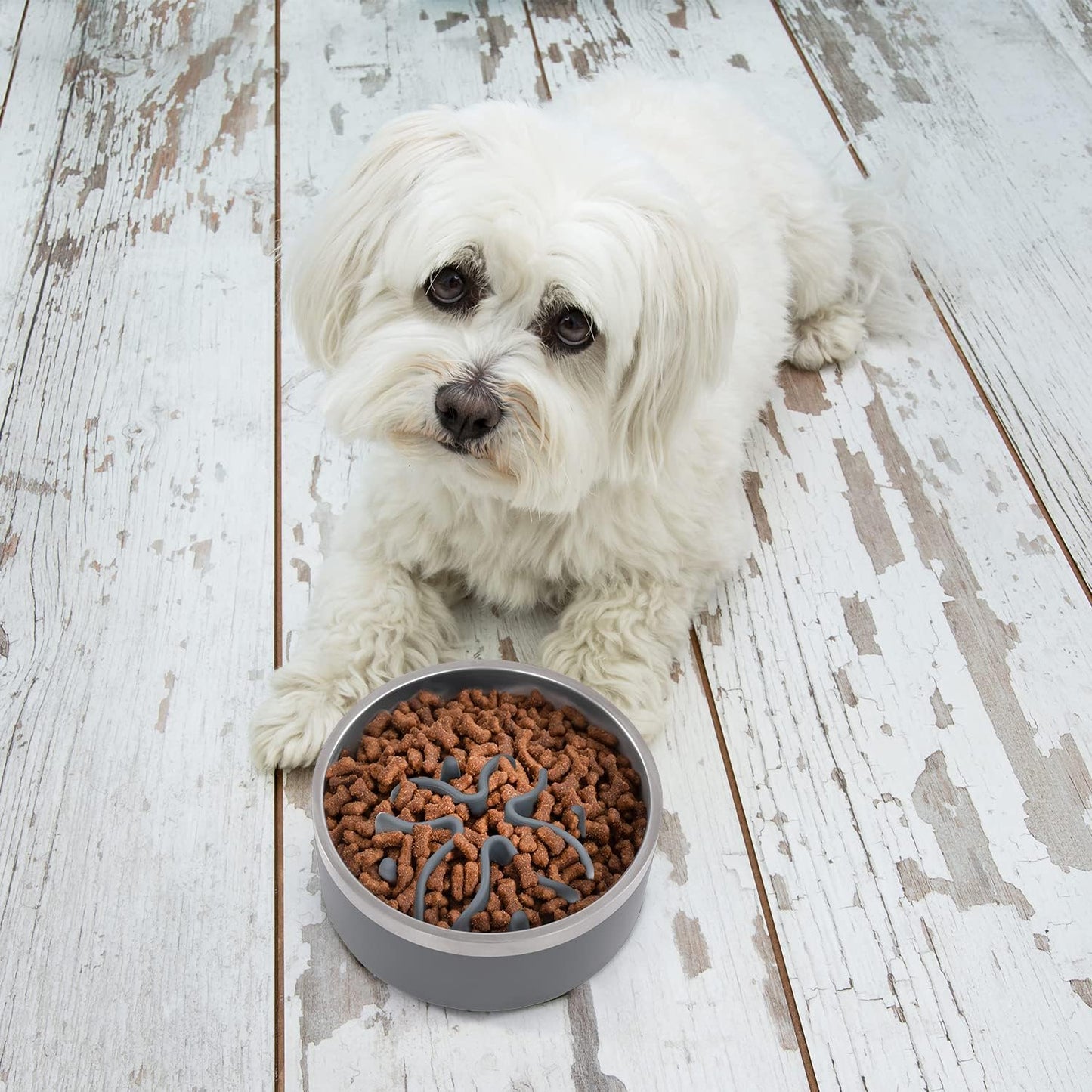 Jaoul Slow Feeder Dog Bowls Insert, Puzzle Slow Feeder Insert with 21 Octopus Suction Cups for Small Breed Dog Food Bowls (4 inch, Grey)