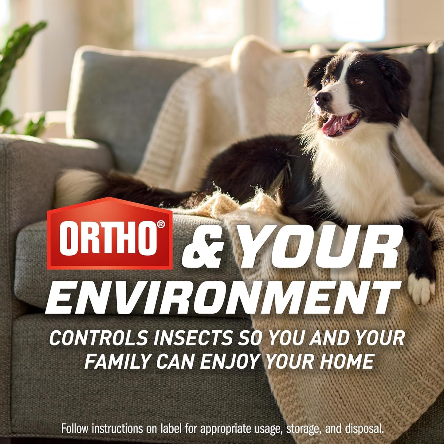 Ortho Home Defense Max Indoor Flying Insect Trap, Light Trap for House Flies, Fruit Flies, and Gnats, 1 Plug-in and 4 Refills