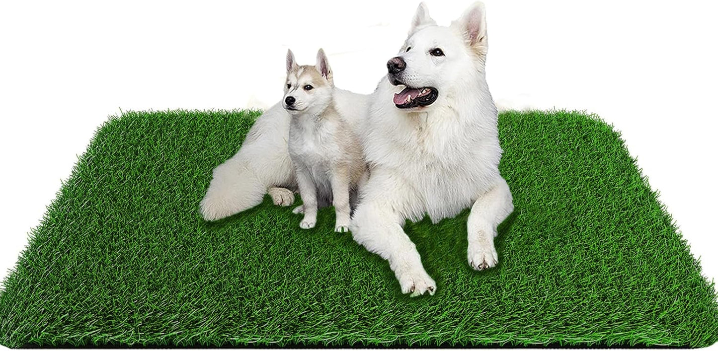 Grass Pad for Dogs 39.3 x 31.5 inches Strong Absorbency Soft Artificial Grass for Pets Potty Training, Easy to Clean Fake Grass for Dog Indoor Outdoor Use(1 Pack)