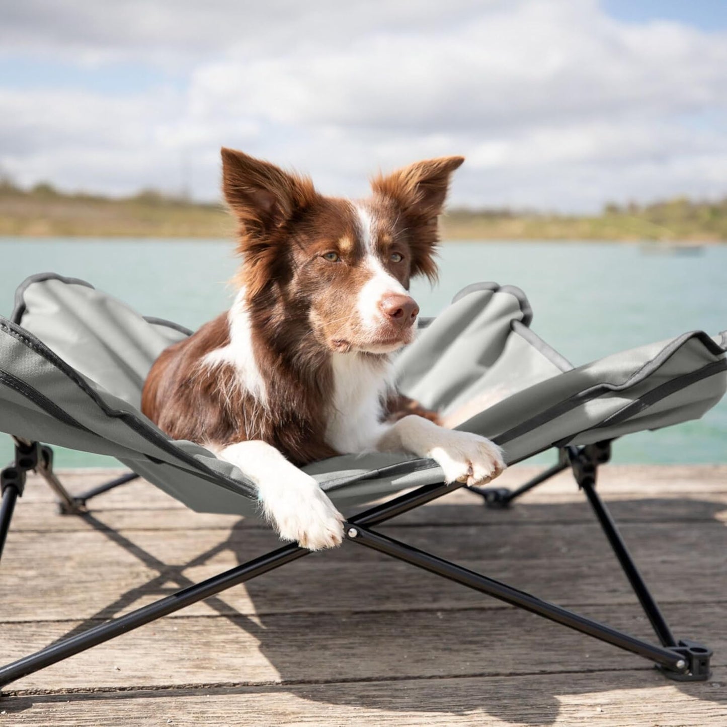 TRIXIE Camping Cot for Medium Dogs, Elevated Pet Travel Bed 34.6" x 34.6", Support Breeds up to 80 lbs, Portable Steel Frame Lounger with Cushioned Removable Topper, Foldable Design