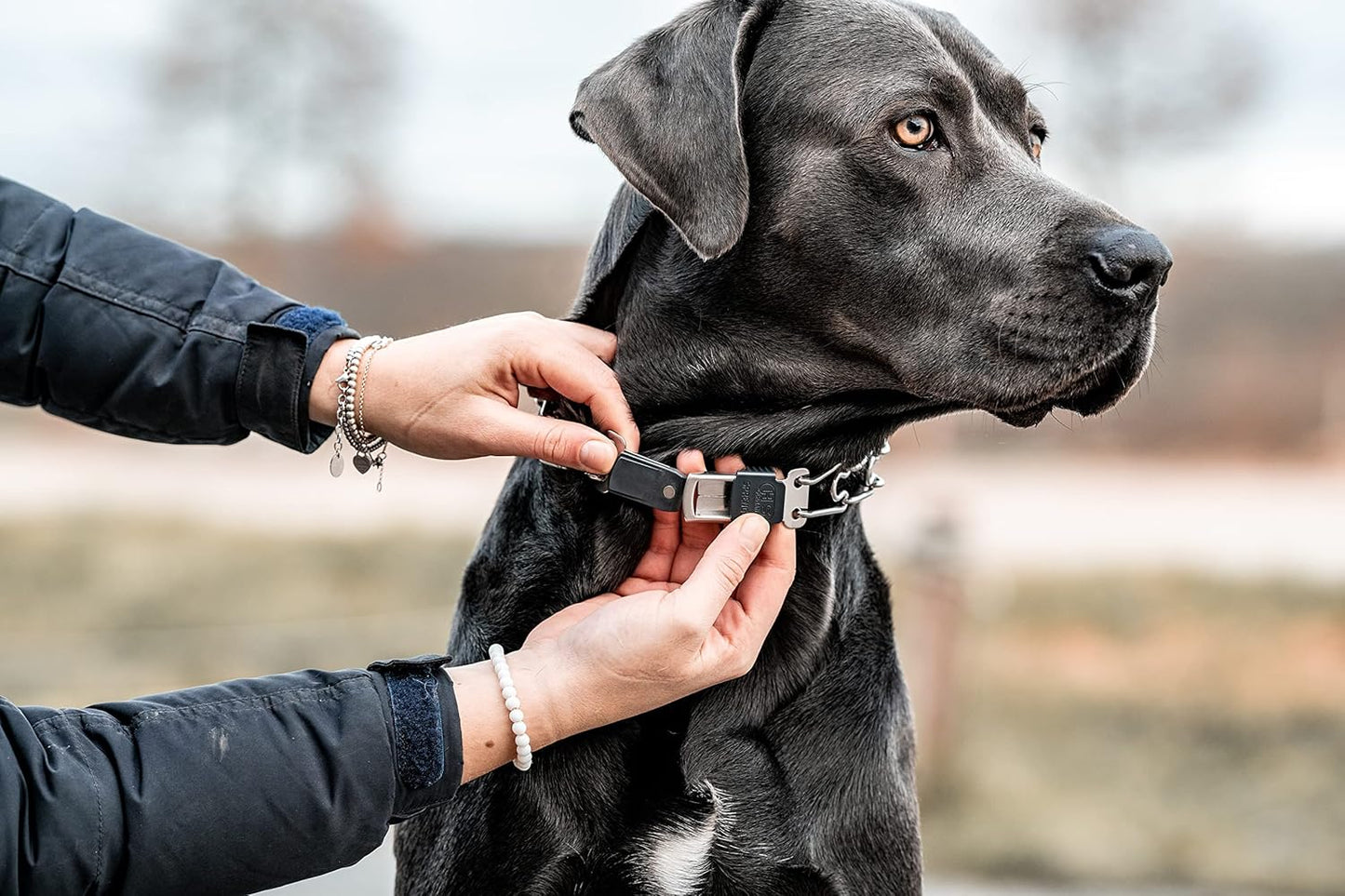 Herm Sprenger Dog Training Prong Collar with Quick Release Cliclock Buckle and Swivel Ring | Adjustable Length Stainless Steel Collar Made in Germany for Large Dogs up to 20" Neck (3.2mm Prongs)
