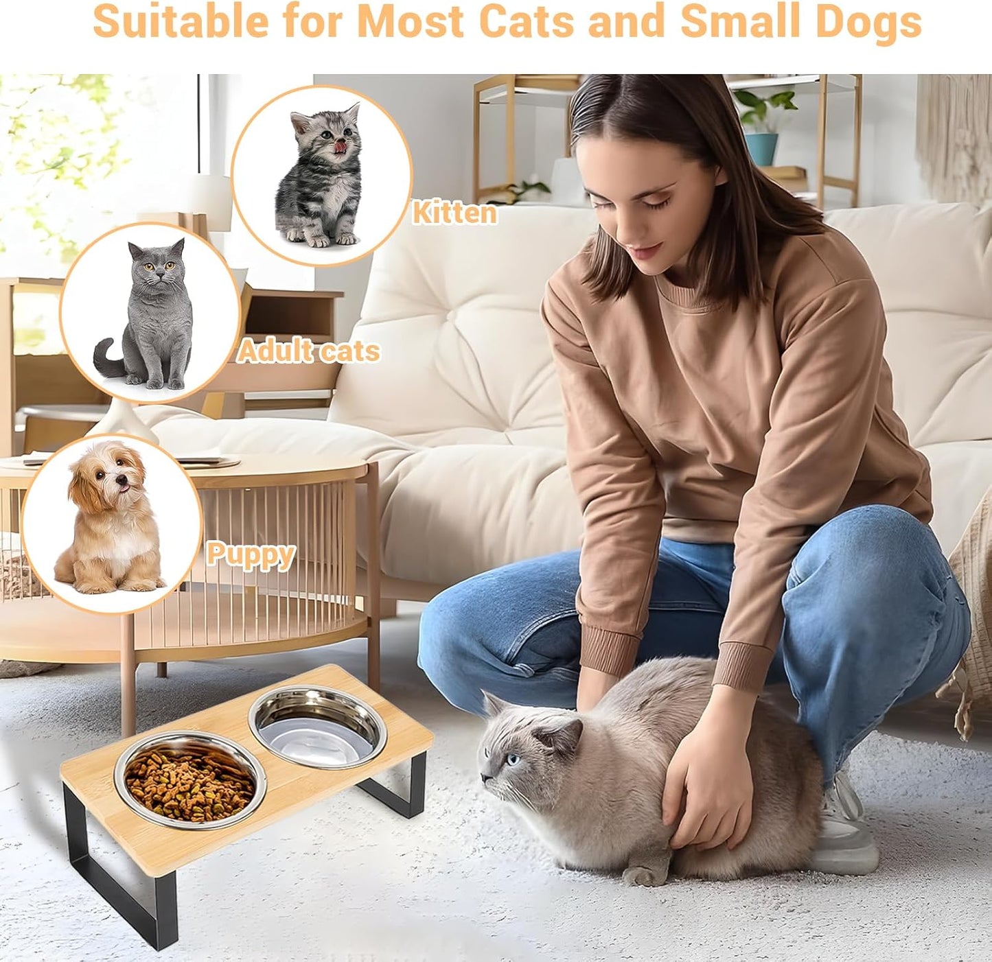 Elevated Cat Bowl, 2 PCS 15°Tilted Cat Bowl Stand with 2 Stainless Steel Bowls for Indoor Cats and Pet, Raised Cats Bowls for Food and Water