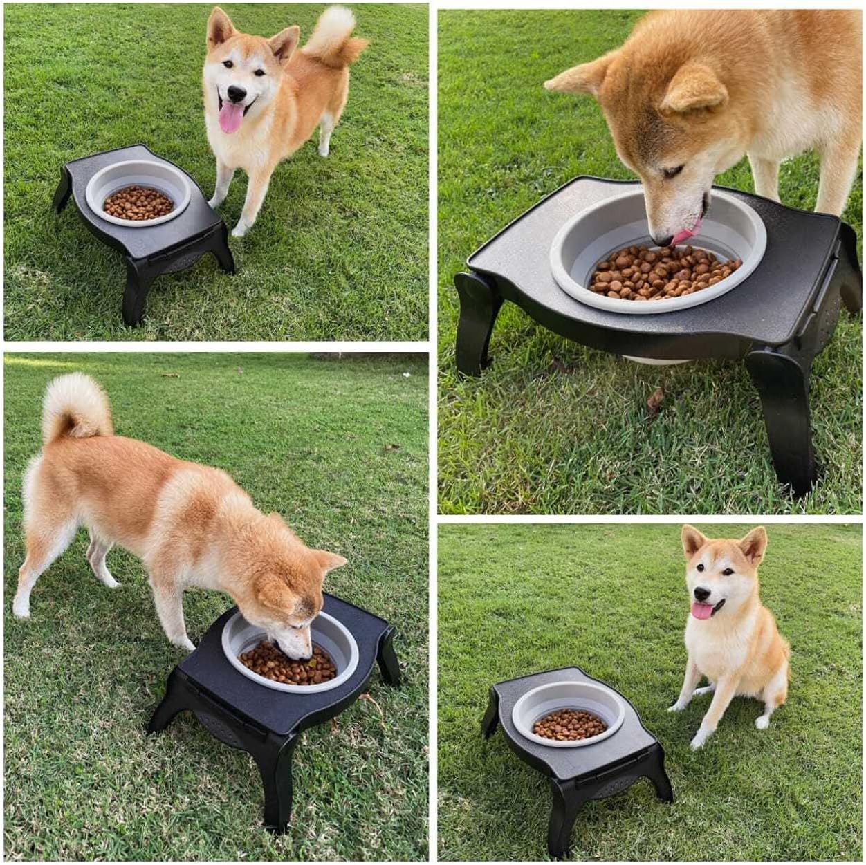 Tuff Pupper Elevated Dog Bowl - Single Raised Collapsible Travel Bowl Holds 80oz/12cups Food/Water