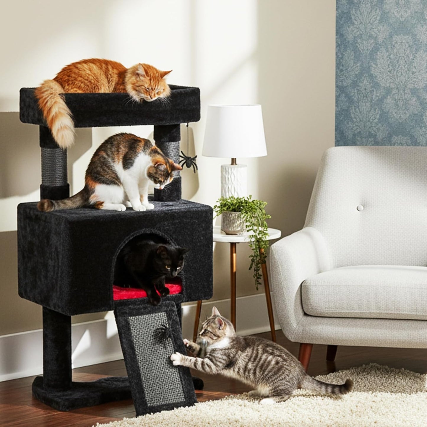 BEWISHOME 33.6in Cat Tree Tower for Indoor Gothic Cat Trees with Coffin Bed, Cat Condo Cat House with Scratching Posts, Cat Shelves with Spider Toy, Pet Play Activity Center Black with Red, MMJ95R