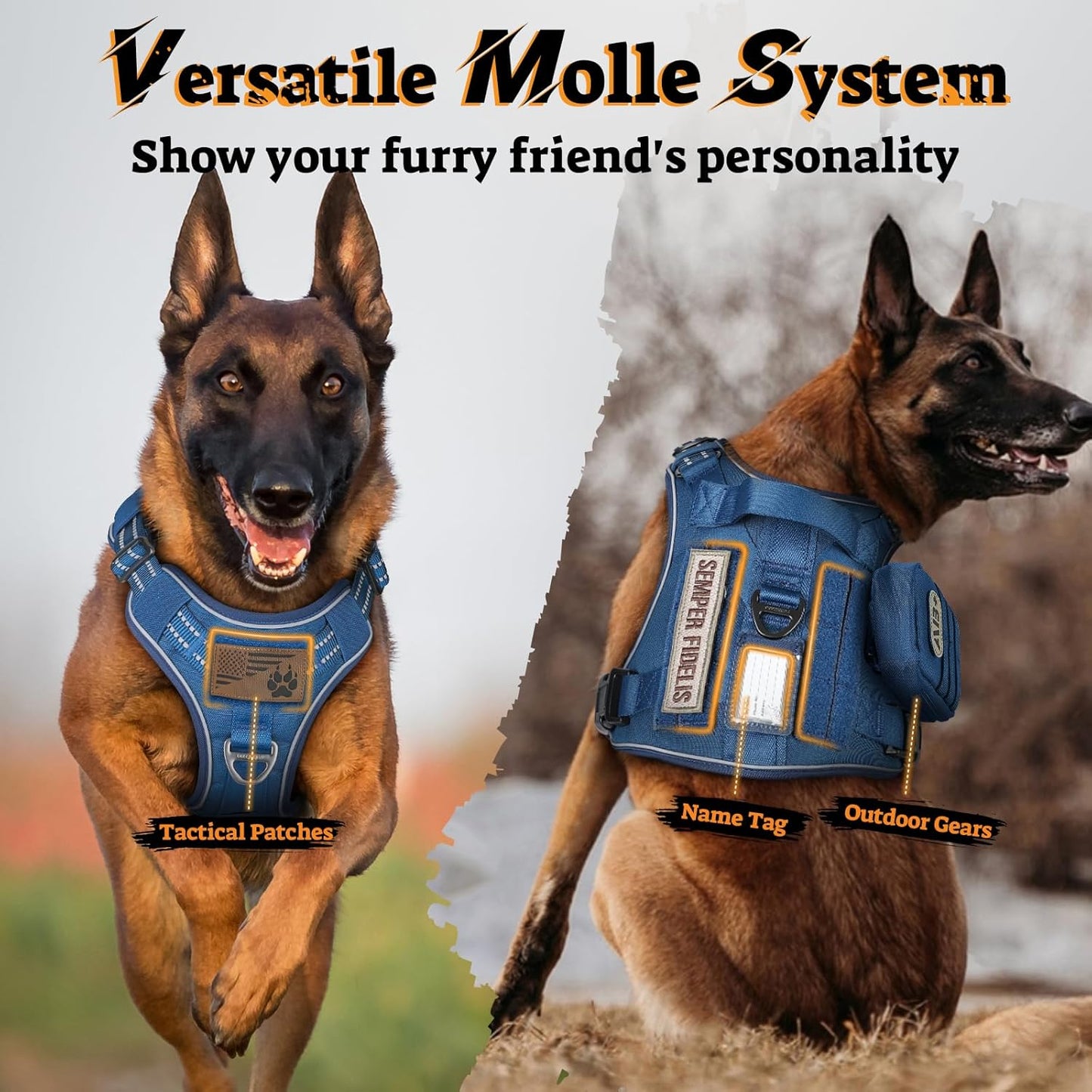rabbitgoo Dog Harness Medium Sized No Pull, Tactical Service Pet Vest with Molle and Control Handle, Adjustable and Reflective Military Harness for Easy Walking and Training, Blue, M