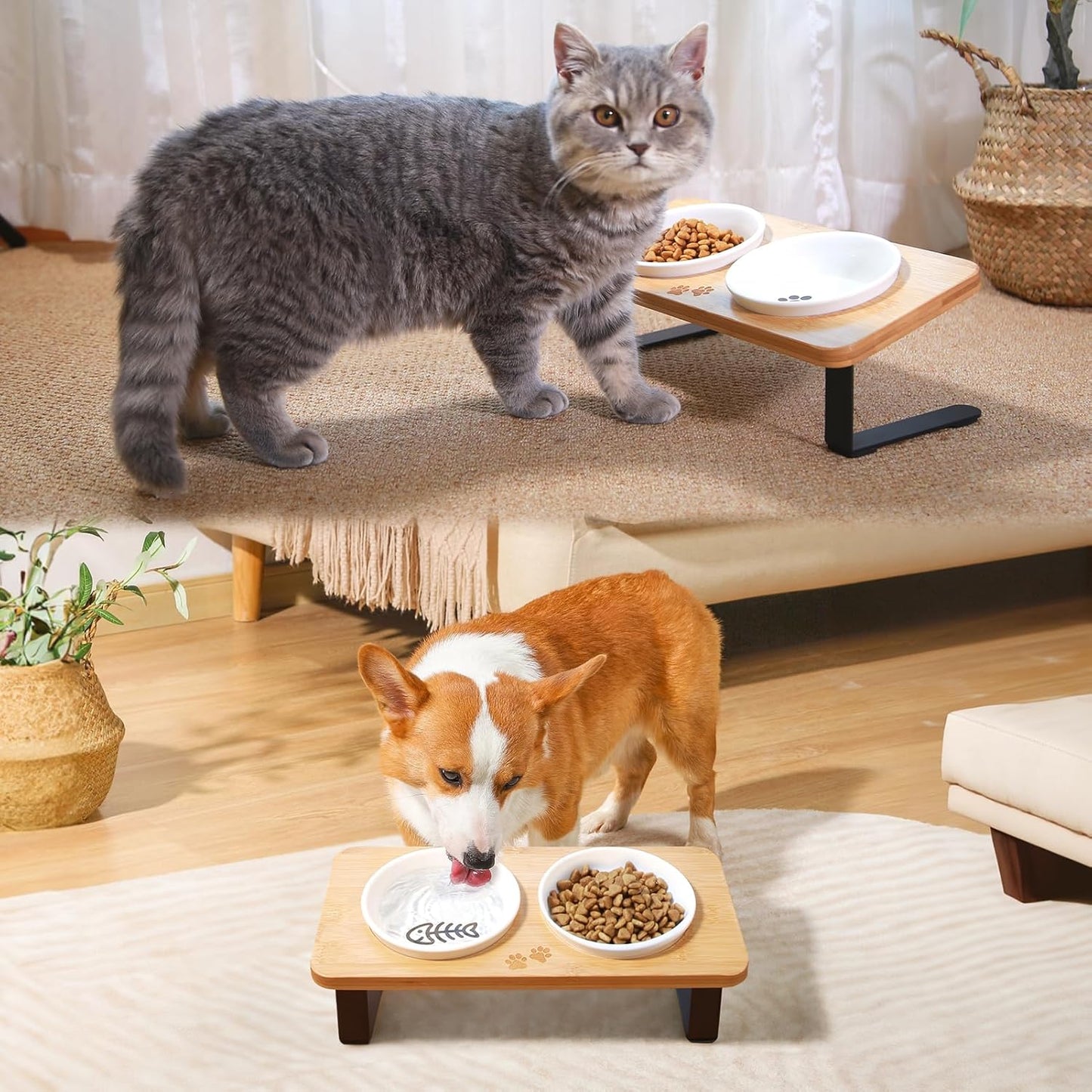 COMESOON 5" Ceramic Cat Bowl with Fish Bone Pattern, Cat Food Bowl for Food and Water, Healthy Cat Dishes for Indoor Cats and Small Dog, Dishwasher Safe & Microwaveable - White