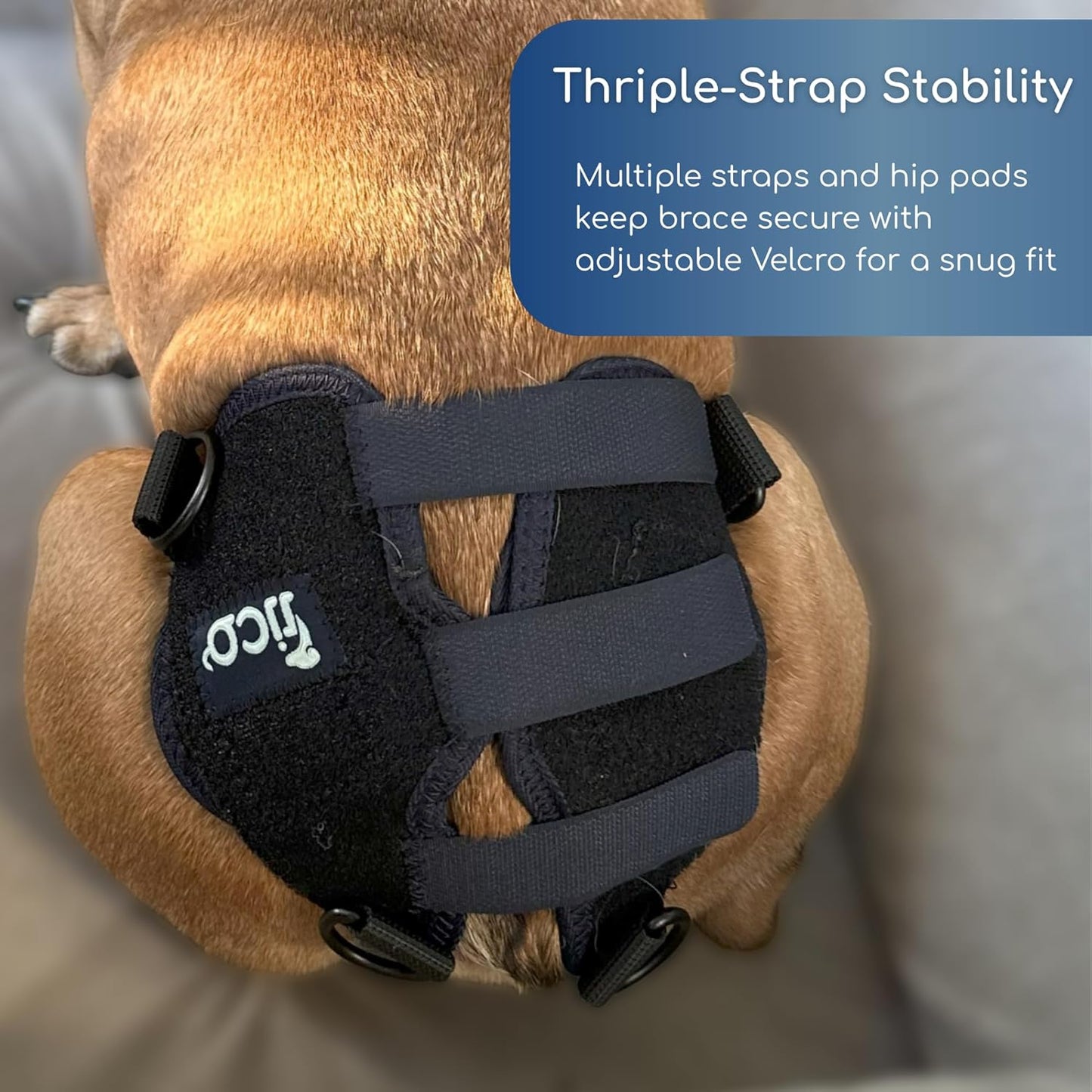 Dog Hip Dysplasia Brace, Adjustable Rear Hip Support for Dogs for Pain Relief, Leg Weakness & Arthritis, Vet Recommended, Targeted Compression, Comfortable Neoprene Harness (X Small)