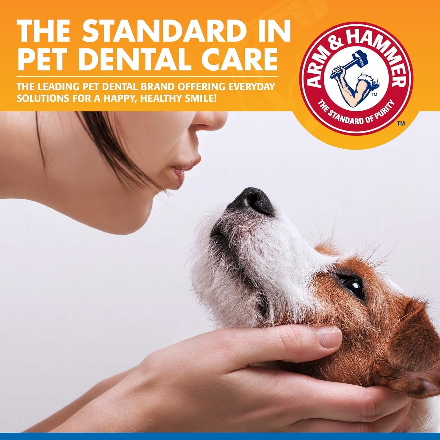 Arm & Hammer Clinical Care Dental Rinse for Adult Dogs, Odorless Flavorless No Taste Water Additive for Dog Dental Care, Helps Reduce Tartar & Freshen Breath, 16 Fl Oz Bottle