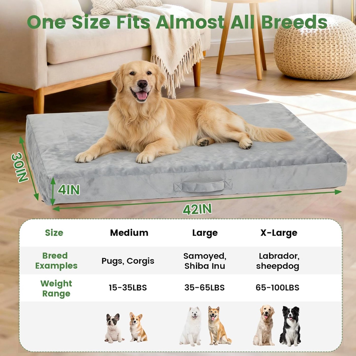 Orthopedic Dog Bed for Extra Large Dogs 44x30 Inches, 28D Egg Crate Foam Pet Bed with Non-Slip Bottom, Waterproof Dog Bed with Removable Washable Cover, Hair Removal Glove, and Chew Knot