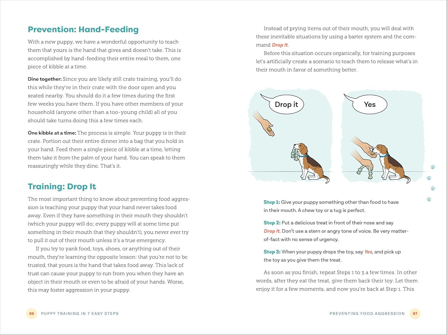 Puppy Training in 7 Easy Steps: Everything You Need to Know to Raise the Perfect Dog