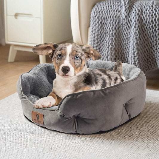 Asvin Small Dog Bed for Small Dogs, Cat Beds for Indoor Cats, Pet Bed for Puppy and Kitty, Extra Soft & Machine Washable with Anti-Slip & Water-Resistant Oxford Bottom, Grey