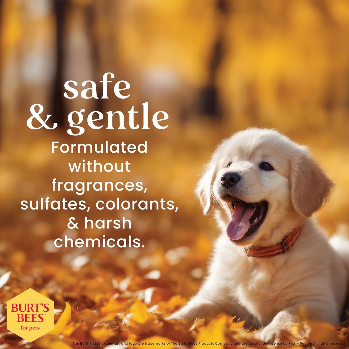 Burt's Bees for Pets Tearless Puppy Shampoo with Buttermilk and Flaxseed Oil, Gentle Dog Shampoo for Puppies 8+ Weeks, Fragrance Free Coat Cleanser with 95% Natural Origin Formula, 16 Fl Oz - 2 Pack
