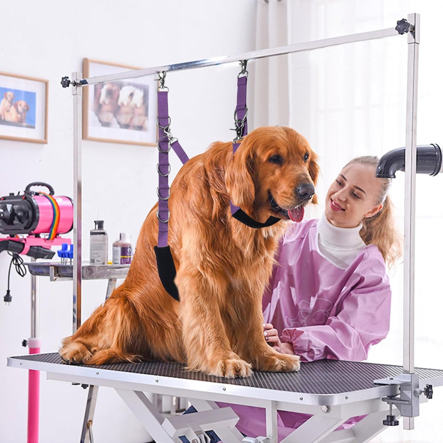 Dog Grooming Belly Strap - Dog Grooming Loops for Table Arm Extender with Clamp Extension Loop Bathing Restraint Leash No Sit Haunch Holder for Small & Medium Dogs Hair Cutting Washing (Purple)