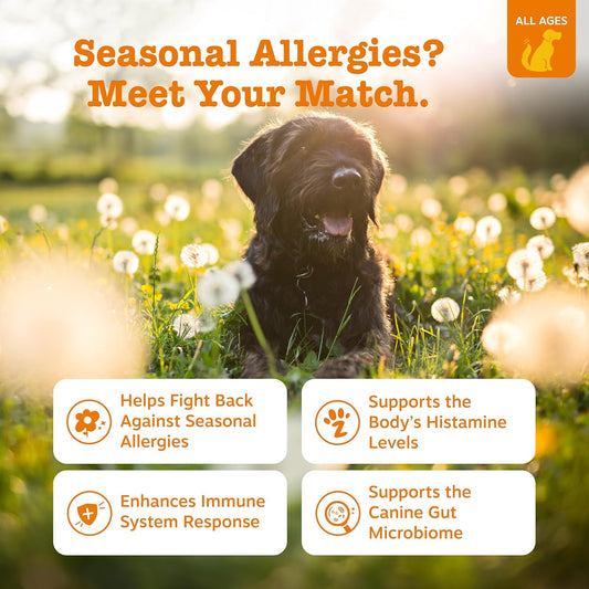 Zesty Paws Dog Allergy Immune Bites - Itching Skin Relief + Probiotic Powder for Dogs