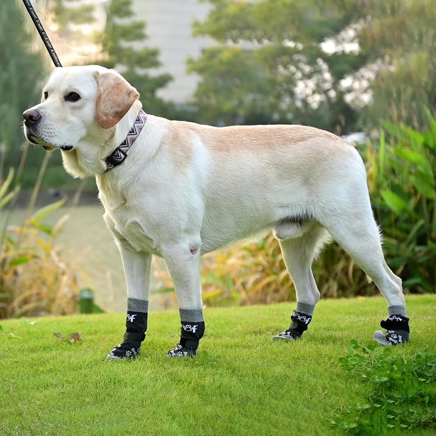 KOOLTAIL Dog Socks Shoes for Hot Pavement to Prevent Licking Paws, Winter Dog Boots&Paw Protector for Hardwood Floors Anti Slip,Traction Control Grip Booties for Small Medium Large Senior Dogs,Black M