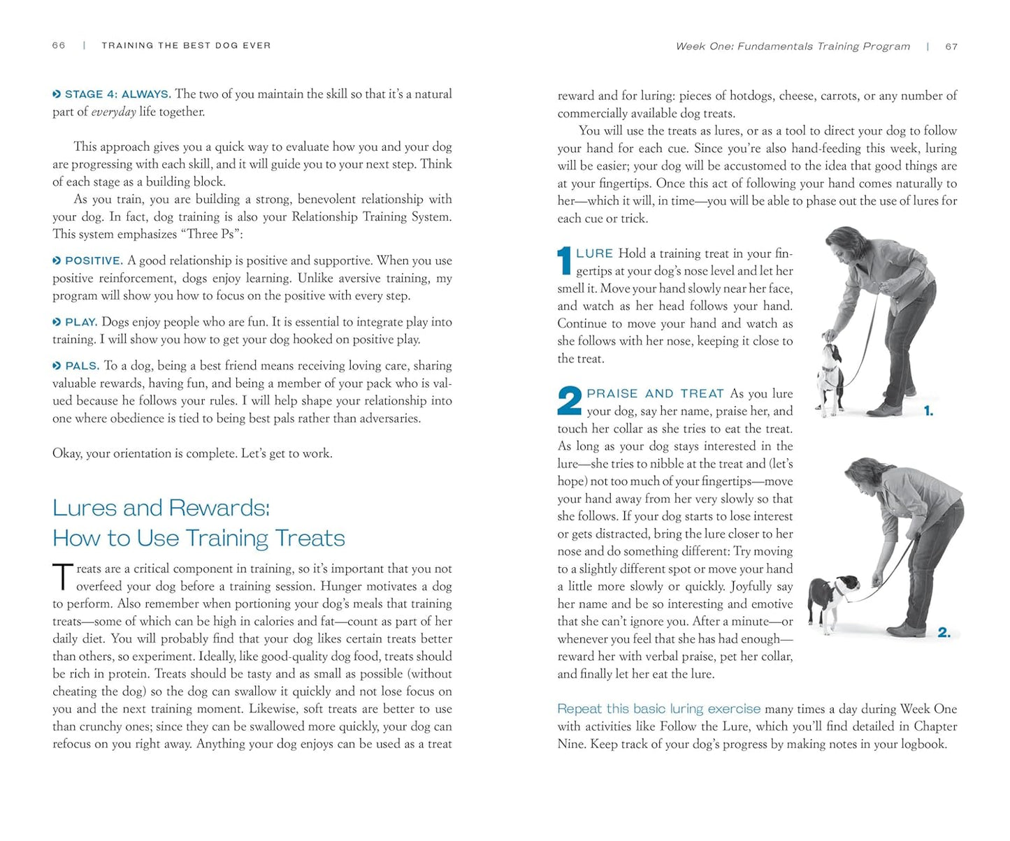 Training the Best Dog Ever: A 5-Week Program Using the Power of Positive Reinforcement