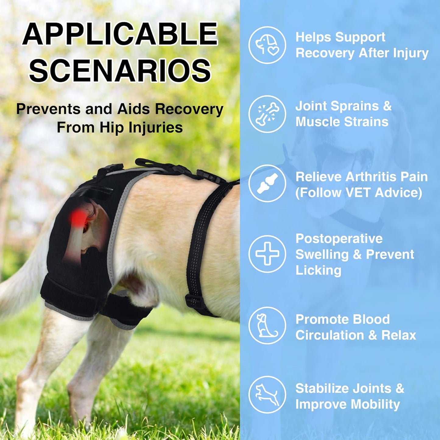 Dog Hip Dysplasia Brace with Removable Hot/Cold Pack — Breathable, Comfortable Hip & Rear-Leg Support for Mild ACL, Knee Instability & Mobility Comfort, Size L