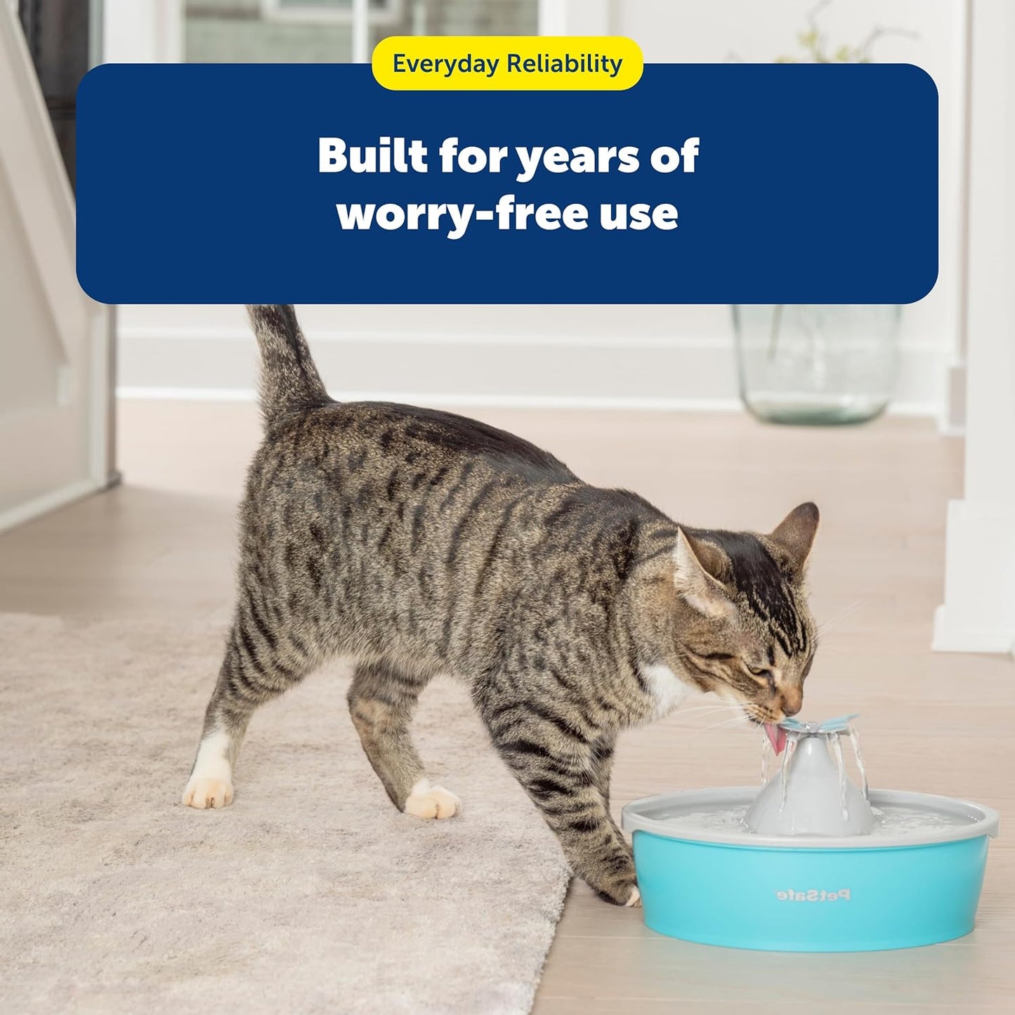 PetSafe Butterfly Cat Water Fountain with Pump & Filters - Cute Water Dispenser with 50 oz Capacity - Pump & Filters Keep Water Clean & Fresh - Filter Contains 2X More Carbon Than Other Brands