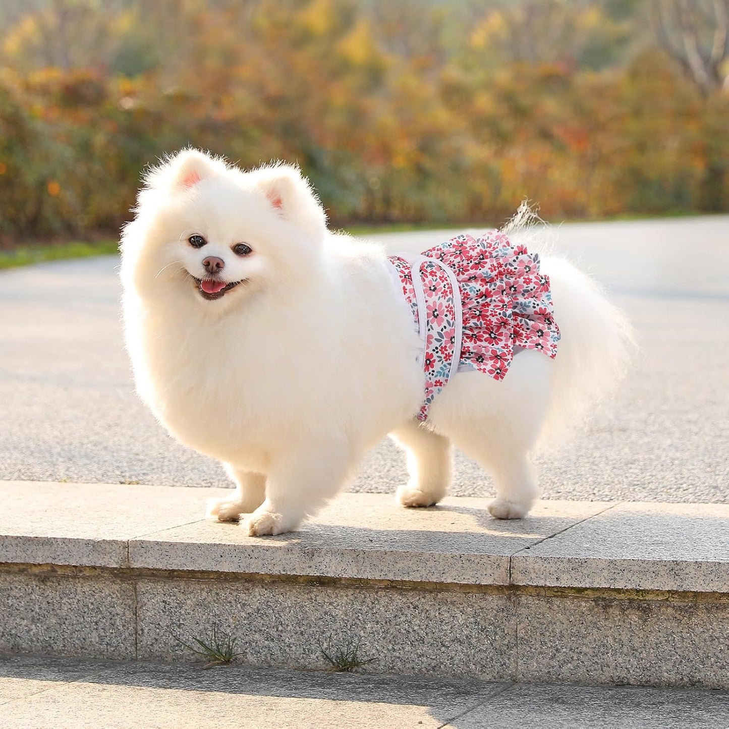 Washable Dog Diapers Female 3 Pack Reusable Premium Highly Absorbent Doggie Diaper, Flexible Puppy Diaper, Durable Leak-Proof Leopard Dog Diapers for Period Heat Incontinence Puppy Training, XS