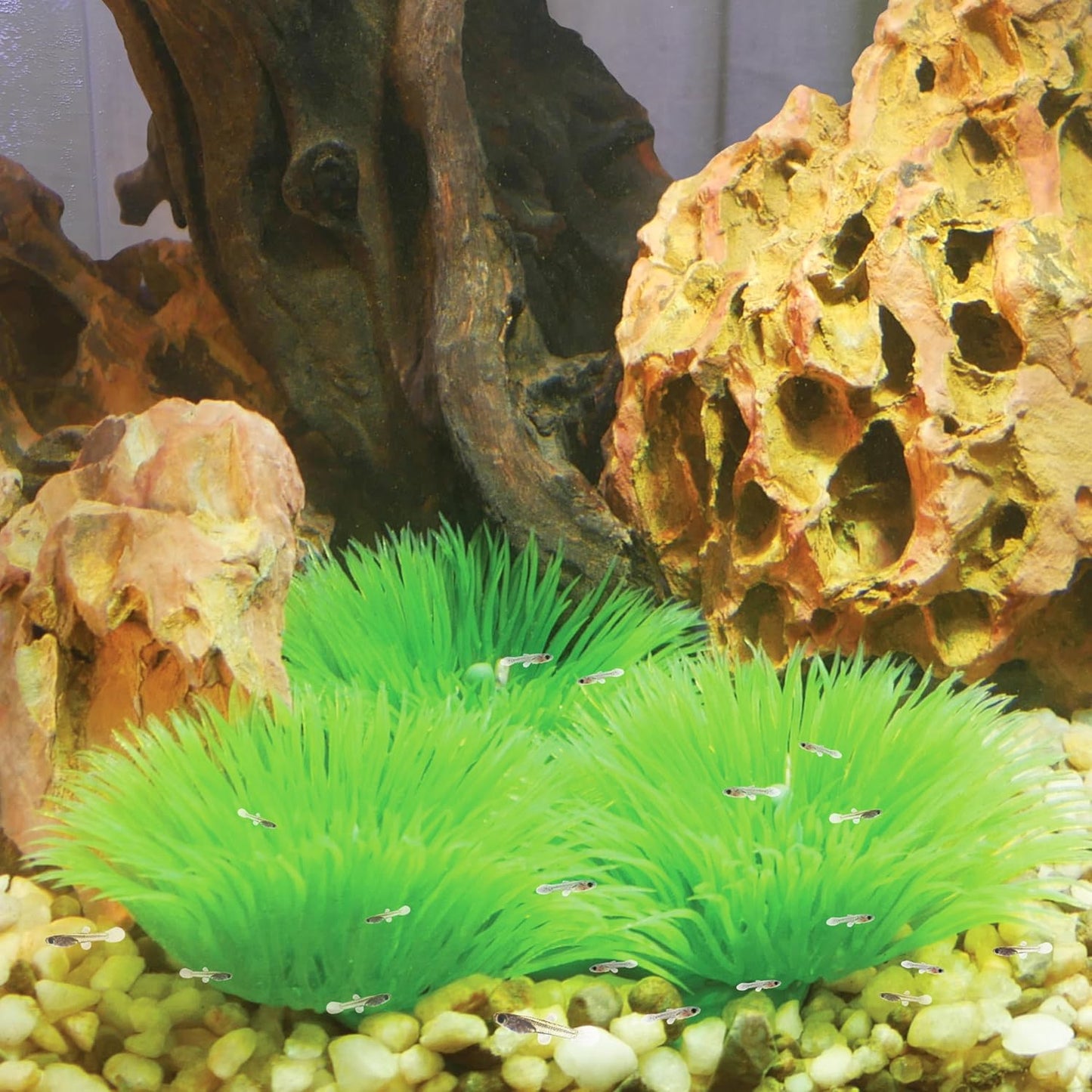 Penn-Plax Fish Breeding Grass – Baby Hideout for Fry – Great for Livebearers and Egg Layers – Plastic Aquarium Plants – 2 Pieces