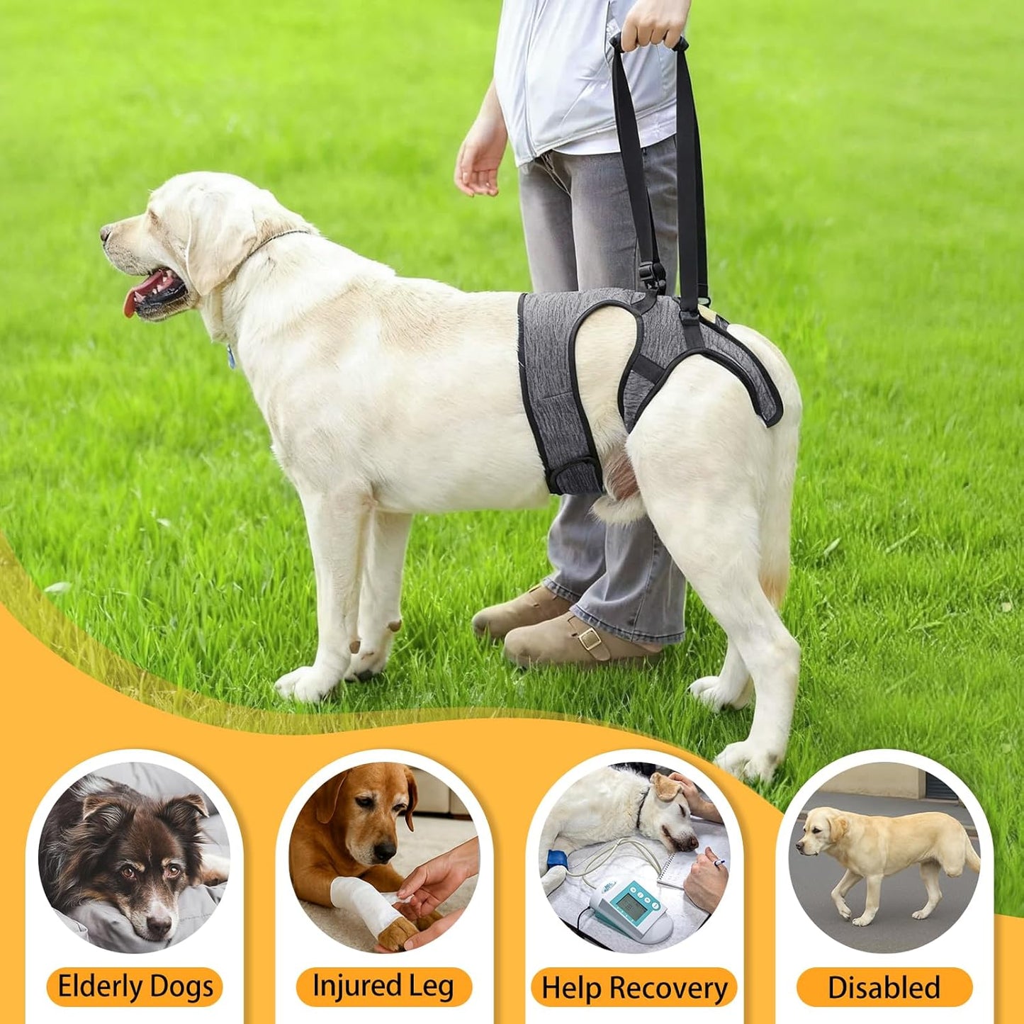 LIANZIMAU Dog Sling for Large Dogs Adjustable Hind Leg Support Lift Harness Senior Canine Mobility Aid Carrier for Back Legs Walking Rehabilitation