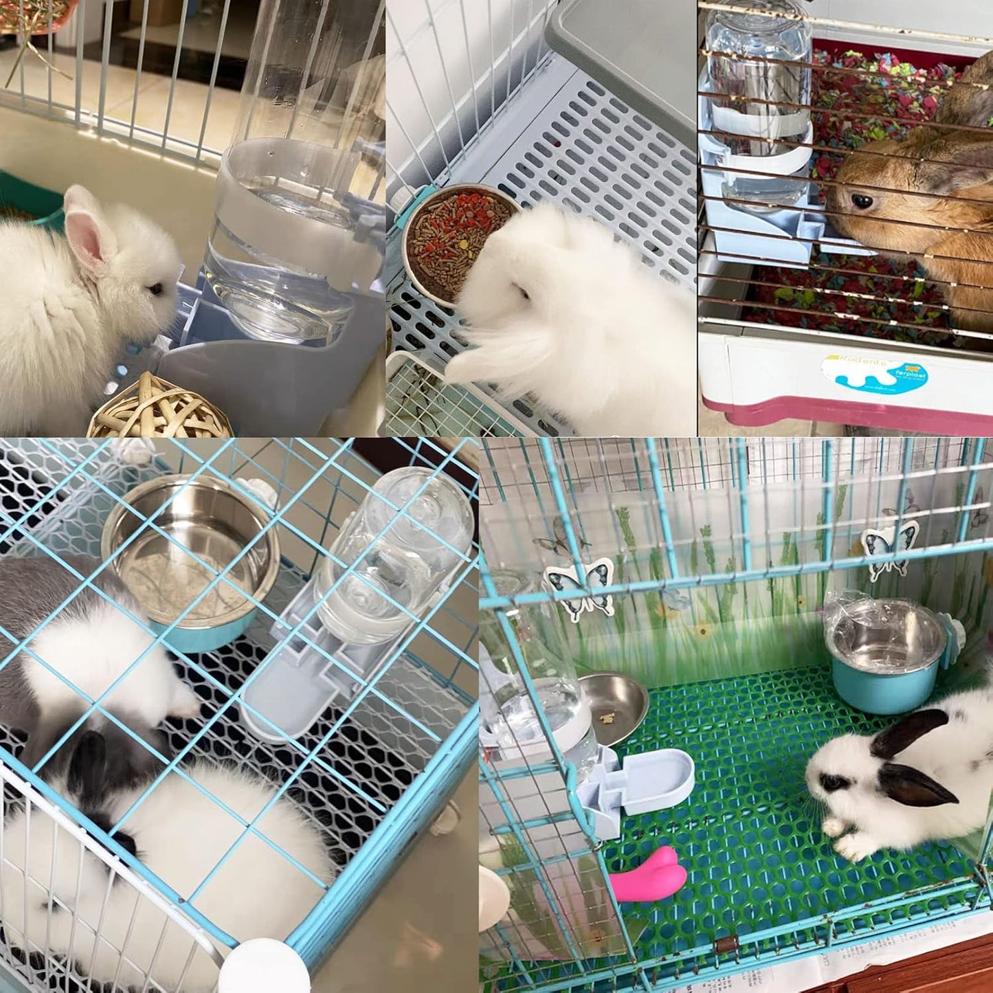 Rabbit Water Bottle Ferret Food Bowl Bunny Water Dispenser Stainless Steel Food Dish Hanging Drinking Fountain Drinker Feeder Crate Bowl Feeder Cup for Guinea Pig Hedgehog Chinchilla