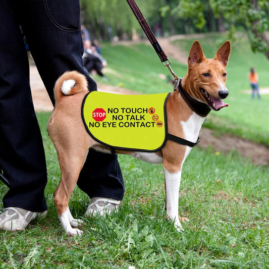 Funny Dog Jacket Vest No Touch No Talk No Eye Contact Dog Slogan Vest Social Distancing Gift (No Eye Contact-Medium)
