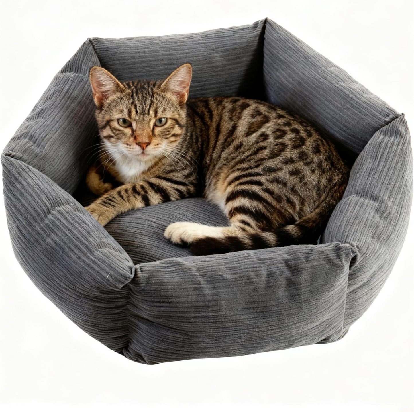 All-Season Stain Resistance Cat Dog Bed,Round Donut Pet Bed,Cord Washable Cat and Dog Beds with Removable Cover,Kitten Bed with Anti-Slip Bottom,Grey,21.6 * 5.9"