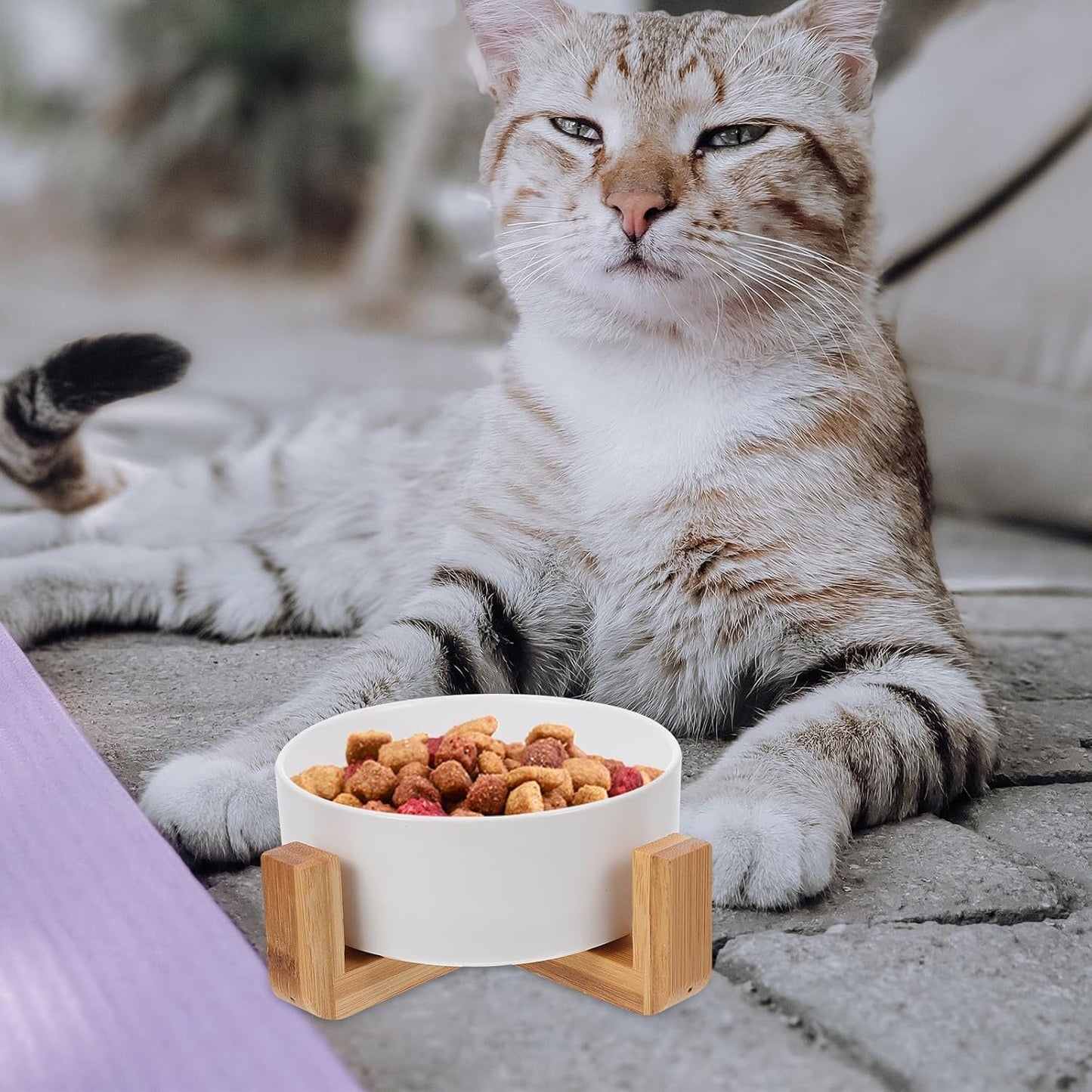 PRETYZOOM Ceramic Cat Bowl Elevated Pet Feeder with Wood Stand Small White Straight Edge Dish for Neck Protection and Water Feeding Raised Cat Food Bowl for Kittens