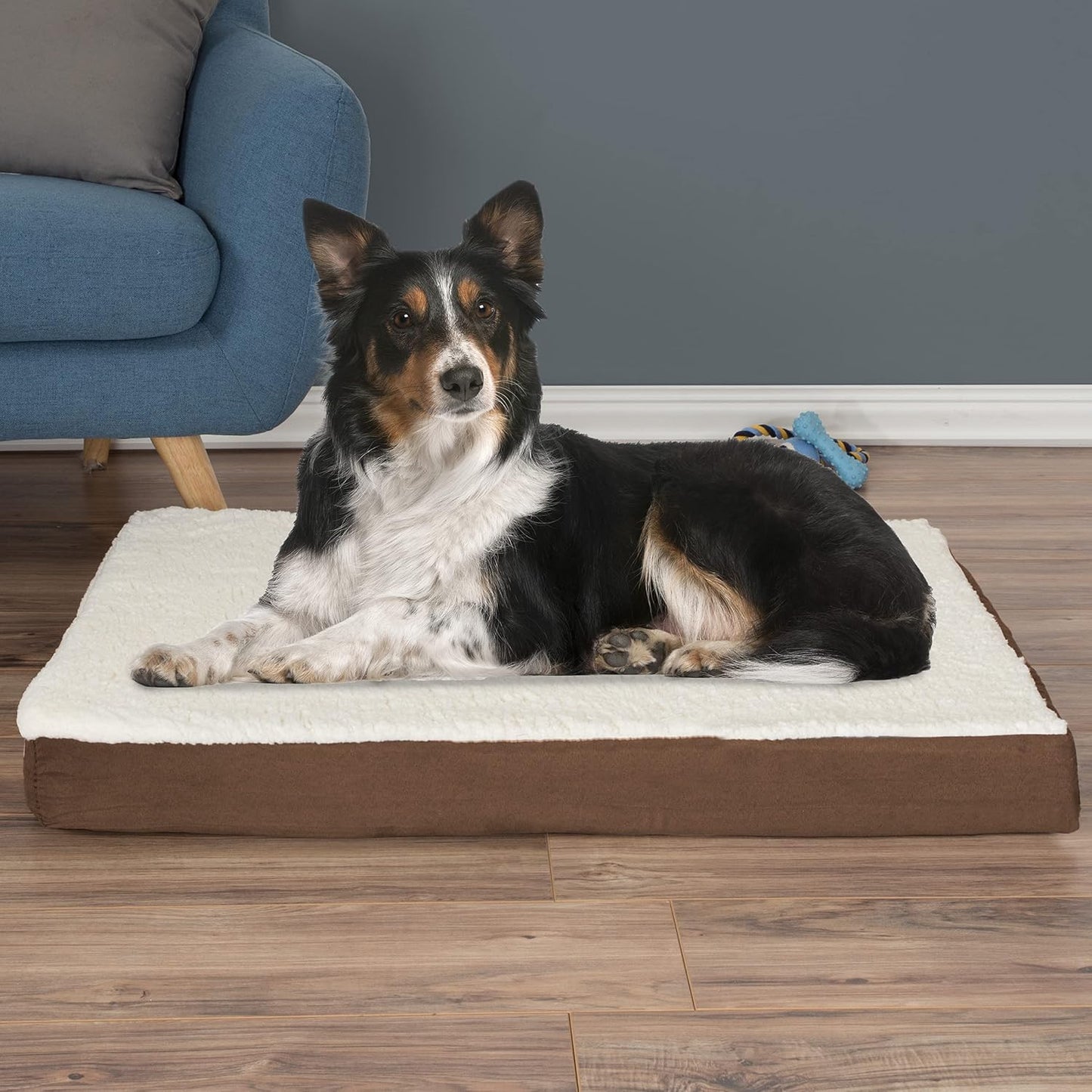 PETMAKER Orthopedic Dog Bed – 2-Layer Memory Foam Dog Bed with Machine Washable Sherpa Top Cover – 36x27 Pet Mattress for Large Dogs up to 65lbs (Brown)
