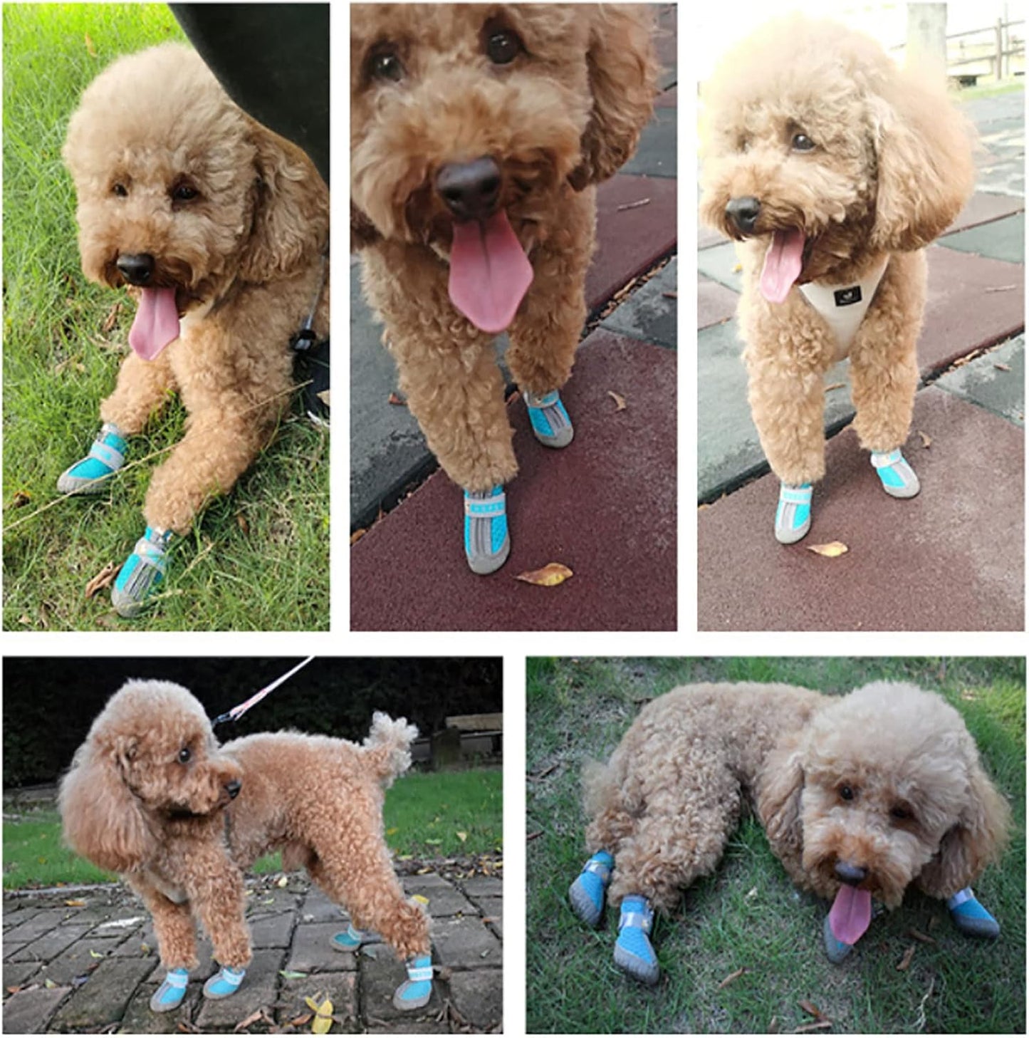 Waterproof Dog Shoes for Small Medium Pet Booties Non-Slip Shoes with Reflective Stripes Paw Protector for Outdoor