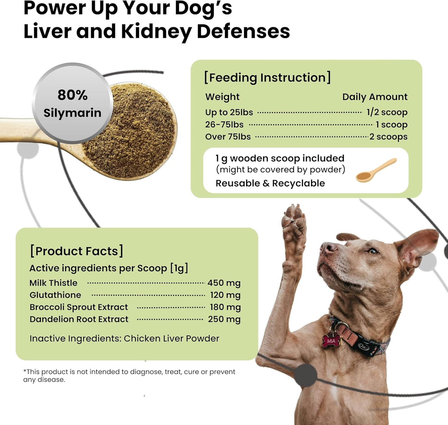 Pawpulse Formula Milk Thistle for Dogs – Liver & Kidney Support Powder with Silymarin & Glutathione – Daily Detox, Antioxidant & Metabolic Natural Support, 2.12 oz