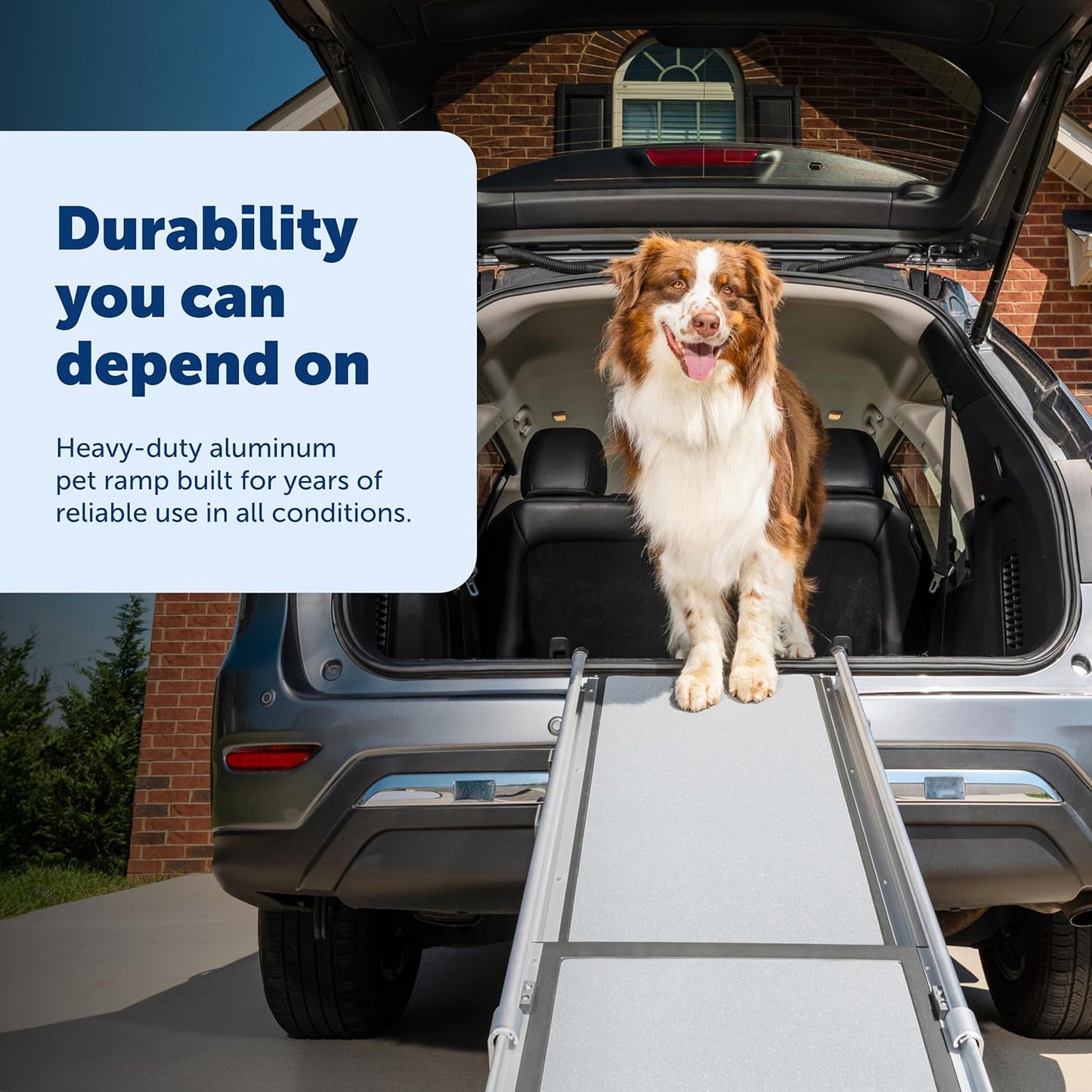 PetSafe Happy Ride Compact Telescoping Dog Ramp - Portable Pet Ramp for Cars, Trucks & SUVs with Adjustable Sizing - Non-Slip Design - Lightweight Pet Mobility Assistance - Extra Long