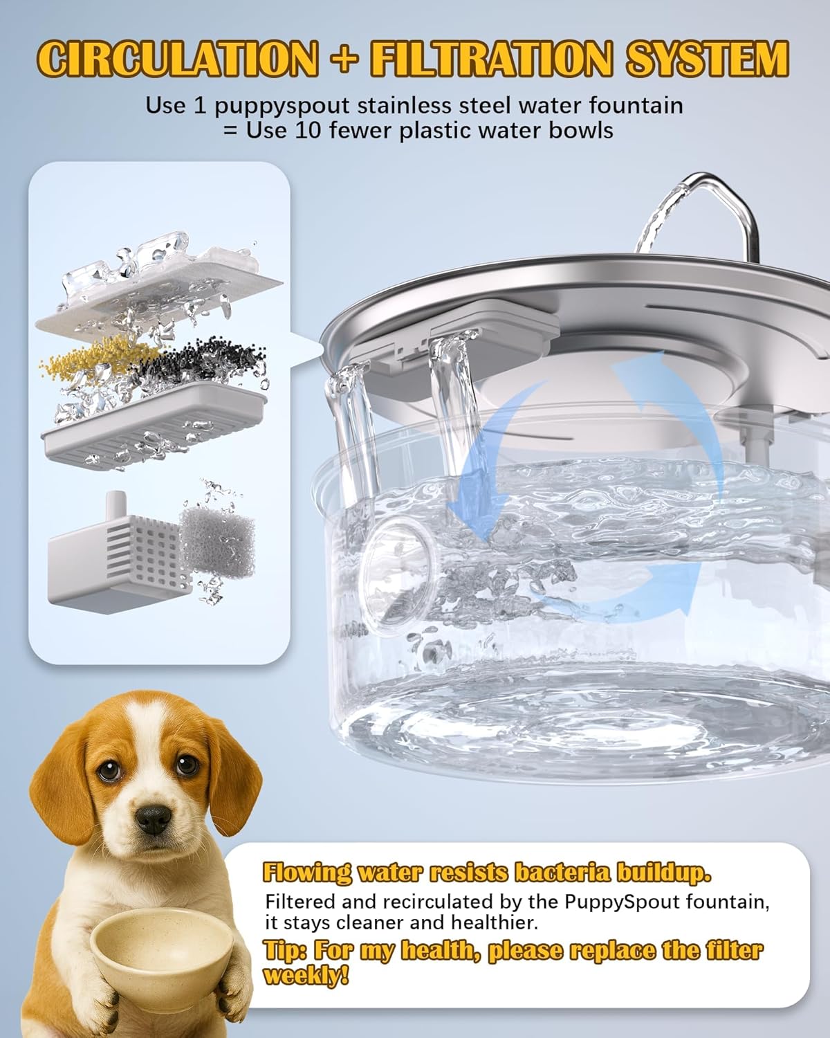 Stainless Steel Dog Water Fountain – 8L/270oz Automatic Waterer with Quiet Pump for Medium/Large Dogs, Cats & Multi-Pet Homes, Visible Water Window & Easy to Clean