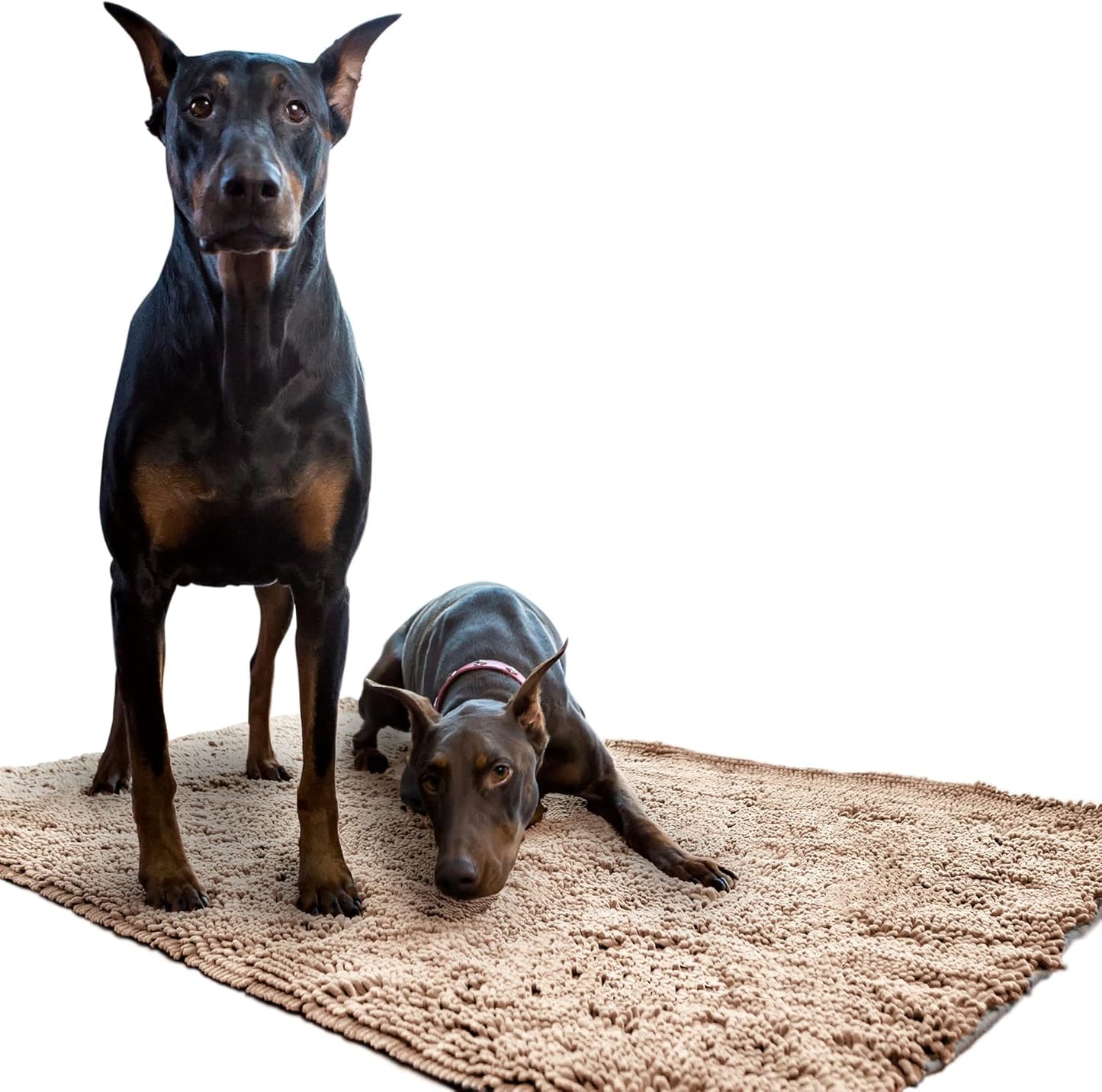 Soggy Doggy Dog Door Mat – Extra-Large Absorbent Chenille Microfiber Dog Rug for Muddy Paws, Wet Dogs & Entryway Floors, Non-Slip Backing, Machine Washable Doormat – Beige, 36” x 60”