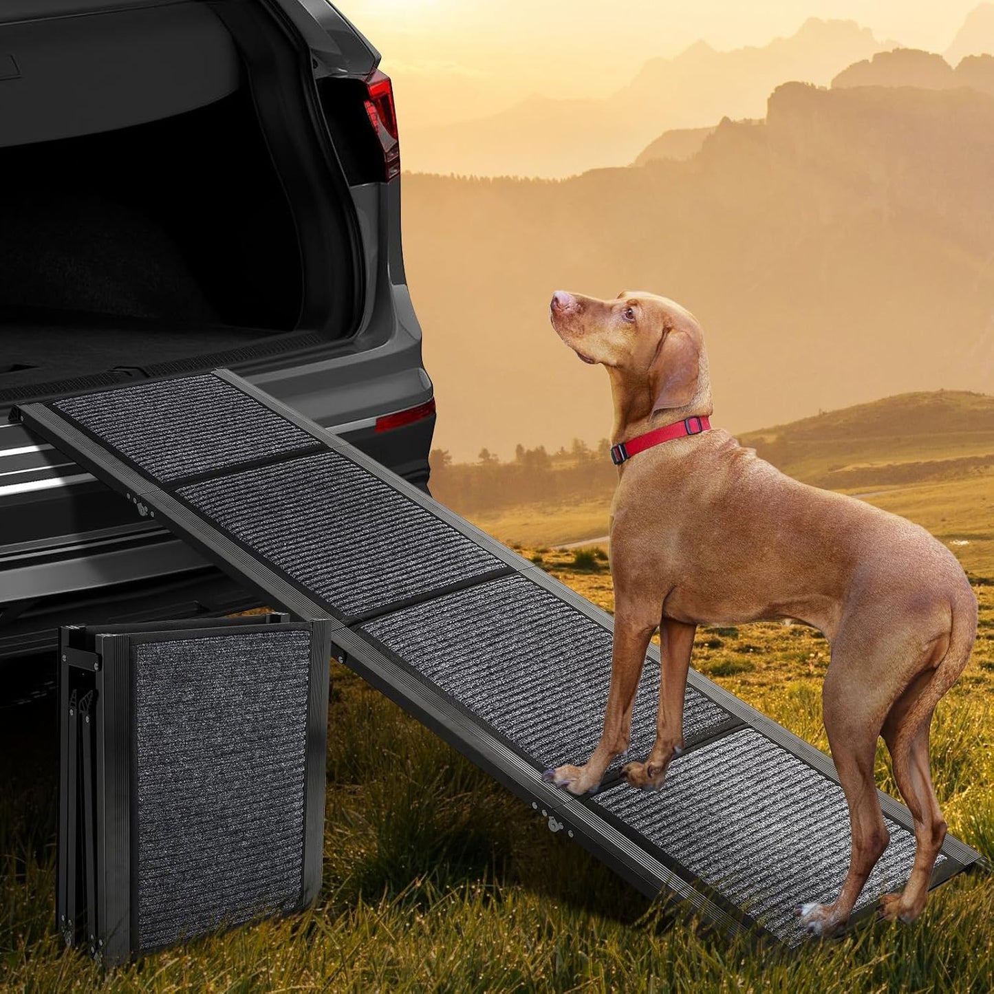 Dollate 71" Long Dog Ramp for Car,17" Wide Foldable Dog Ramps for Large Pet with Non-Slip Rug Surface,Up to 250 LBS for Car, SUV & Truck-L
