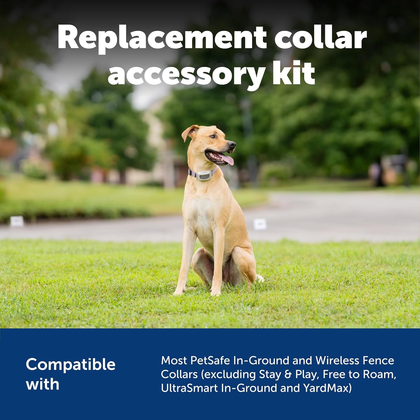 PetSafe Accessory Kit for Fencing Receiver Collars - Replacement Components for In-Ground & Wireless Dog Receiver Collars - Includes Contact Points, Clear Caps, Screws & Washers