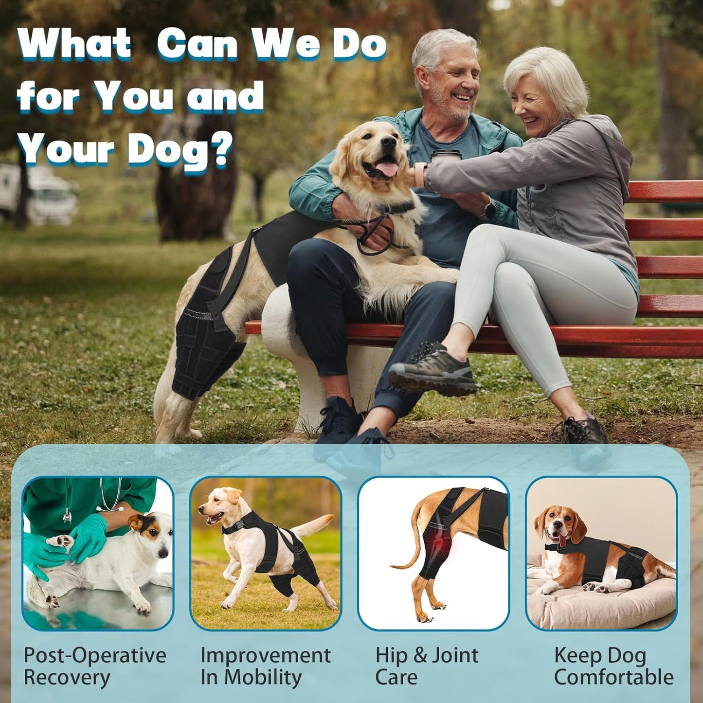 Dog Knee Brace for Back Leg, Adjustable Dog Leg Brace with 4 Stabilizers, Hip Support to Reduces Pain, Ligament Injuries & Luxating Patella & ACL CCL for Small Medium Large Dogs