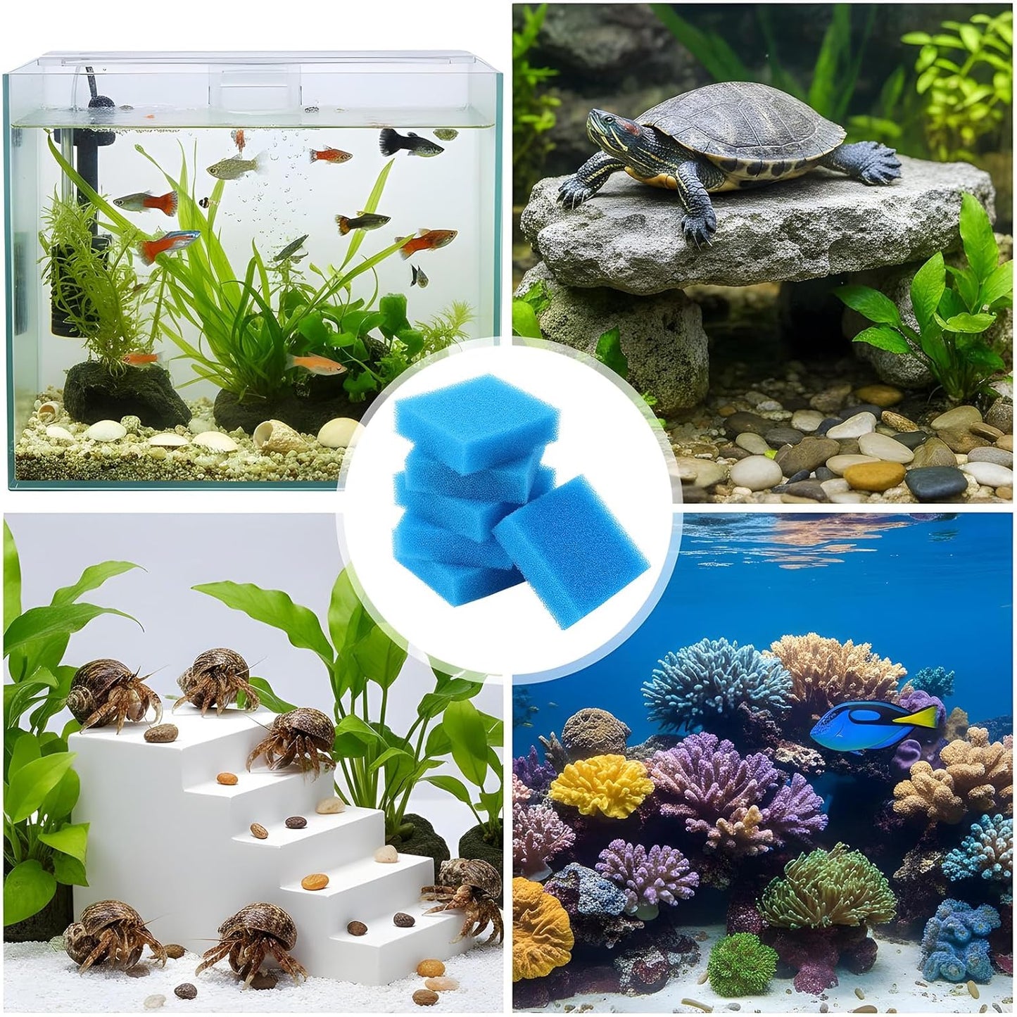 6PCS Aquarium Glass Cleaner Sponge, Non-Scratch Fish Tank Cleaning Sponge Fish Tank Walls Cleaner Tools for Aquarium Glasses 3.2×3.2×1 in