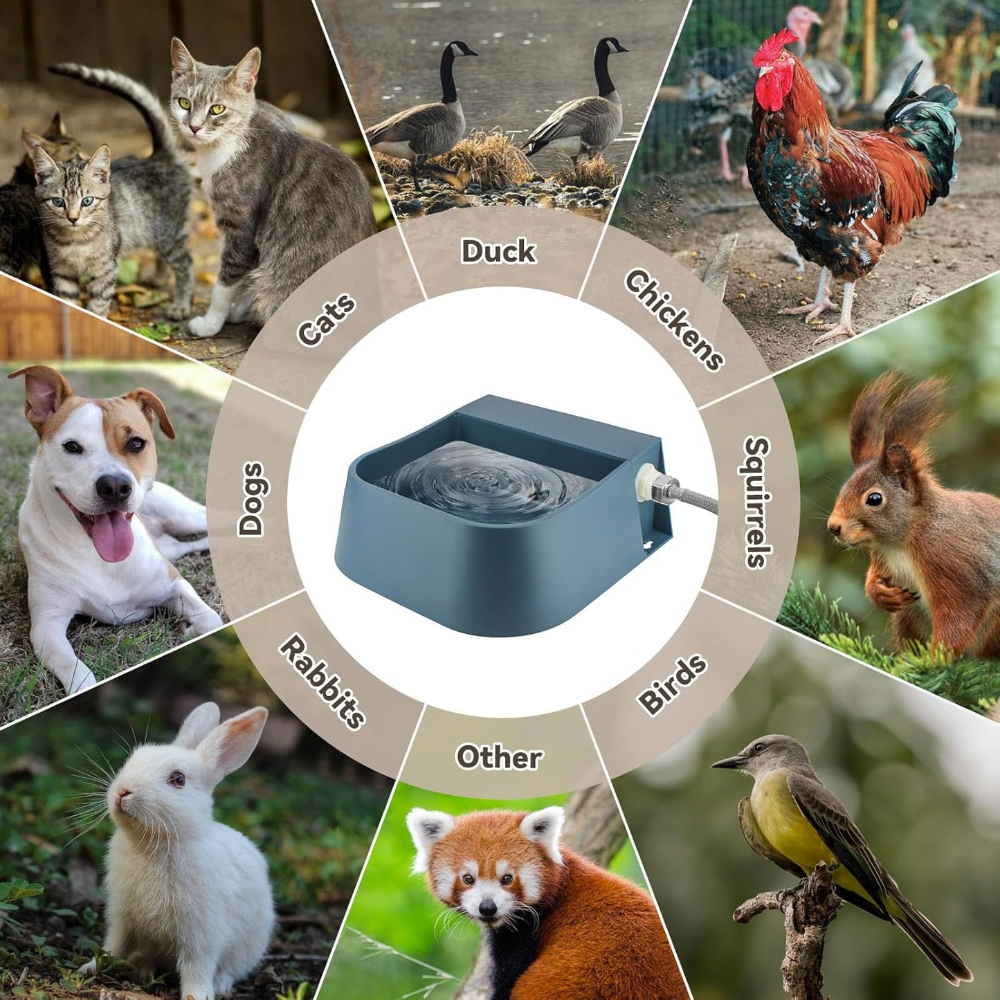 NAMSAN Automatic Dog Water Dispenser with Float Valve, 3/4'' Anti-Bite Metal Pipe, Outdoor Automatic Water Dispenser for Cats Chicken Animals, Goat Waterer, Livestock Water Trough