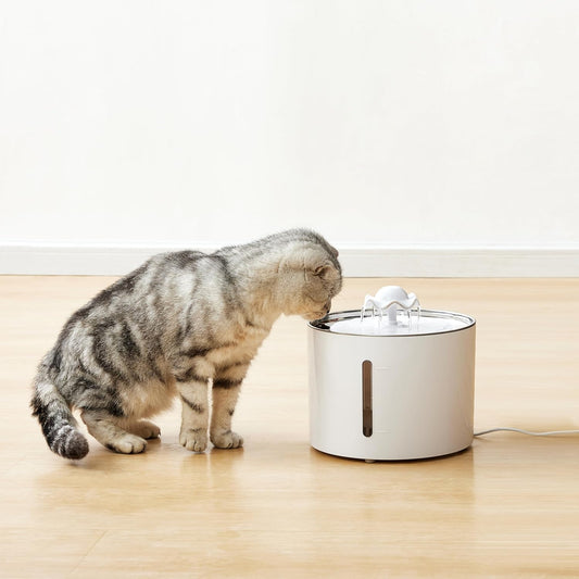 Amazon Basics Large Capacity Pet Water Fountain with Stainless Steel Top, Ultra Quiet, Easy to Clean, BPA Free, 3L, White, 3 Filters Included